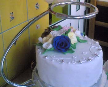 suport-tort1